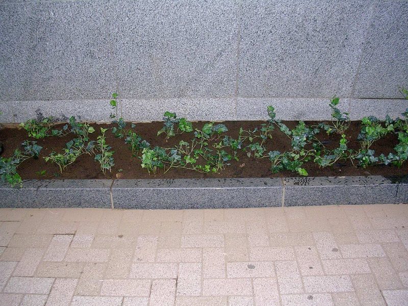 野崎ブログ①