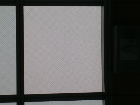 写真②