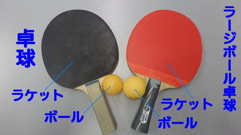 いつも上井草スポーツセンターをご利用いただきありがとうございます 総合受付 佐藤が担当します 今回は 一般使用の卓球 ラージボール卓球をご紹介したいと思います 卓球とラージボール卓球でどのような違いがある