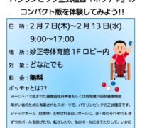 ボッチャPOP (2)のサムネイル