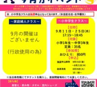 ２５年度9月バレーボールPOPのサムネイル