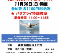 バタフライイベントポップのサムネイル